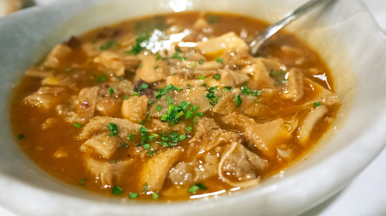 Callos stew featuring tripe and green herb garnish, served in white bowl.