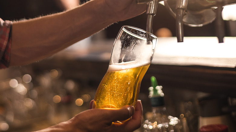 bartender pouring draft beer