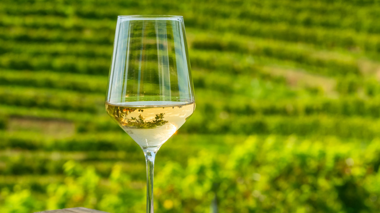 A glass of white wine on a table with a vineyard backdrop