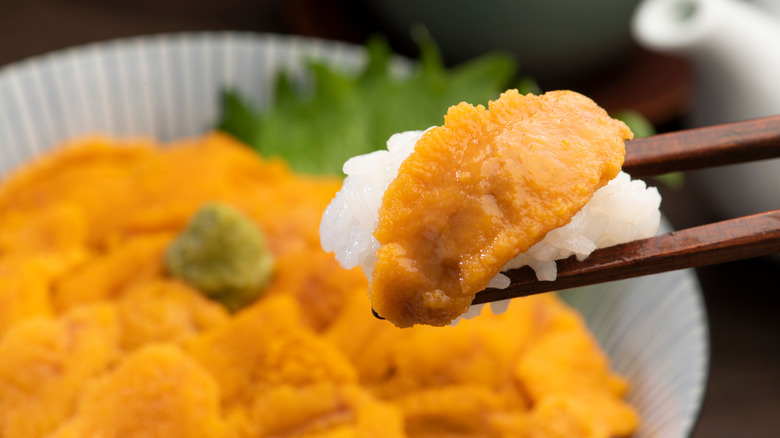 Eating uni with rice