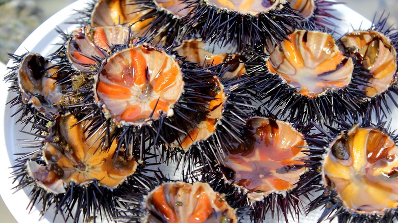 Lobes of uni inside sea urchins cut in half
