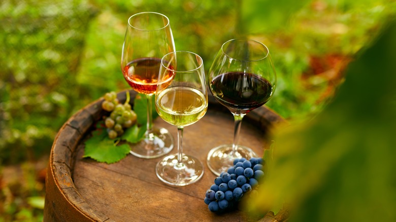 Various wines with grapes in a vineyard