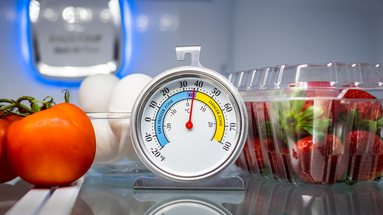 thermometer inside refrigerator