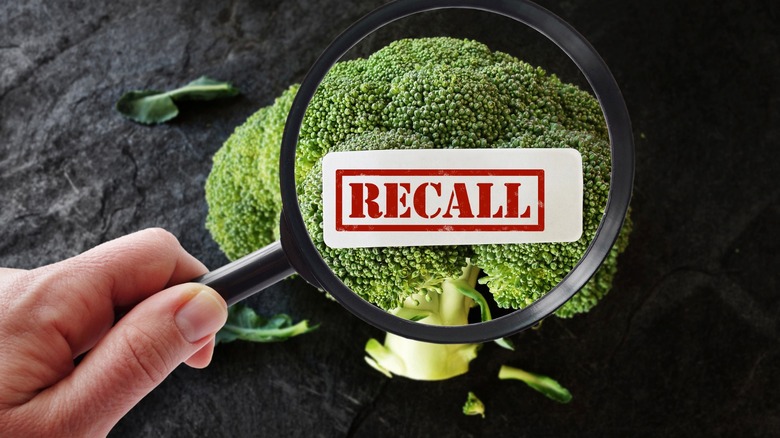 Person holding magnifying glass up to broccoli with 