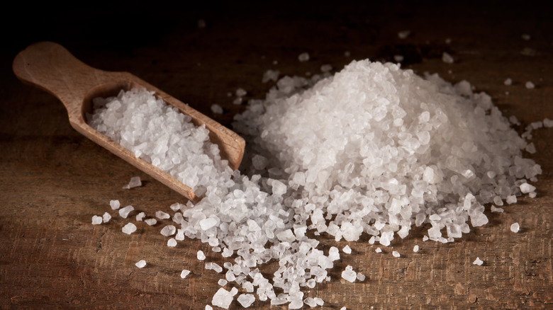 pile of salt and wooden spoon