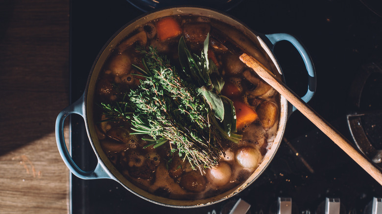 beef stew with fresh herbs