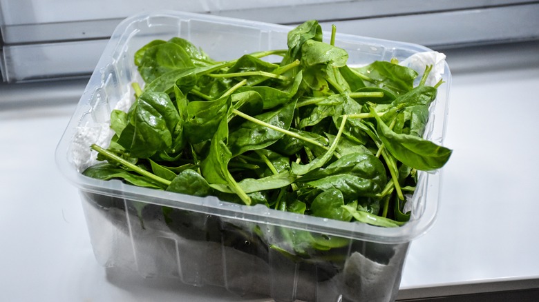 Slimy spinach in plastic container