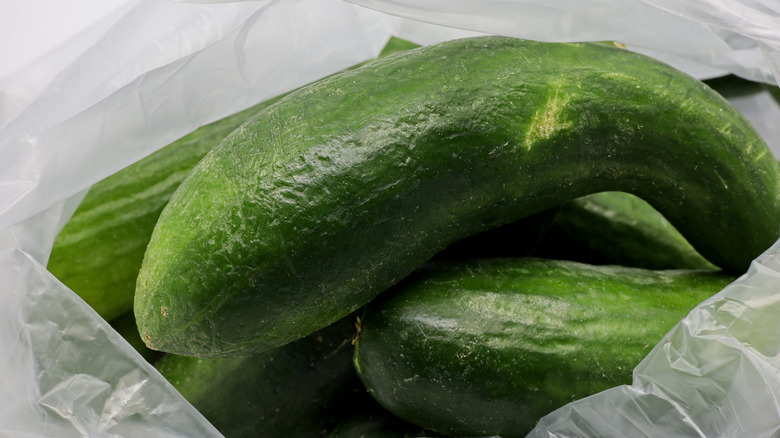 Cucumbers in a plastic bag