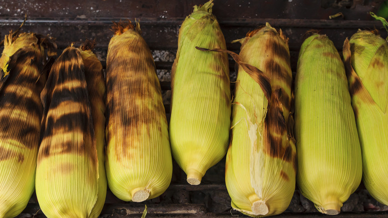 Corn on the cob with charred husks on grill