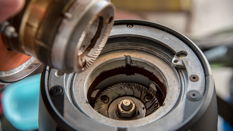 The inside of a burr grinder