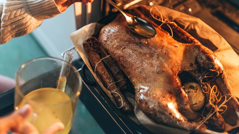 Person basting goose in oven