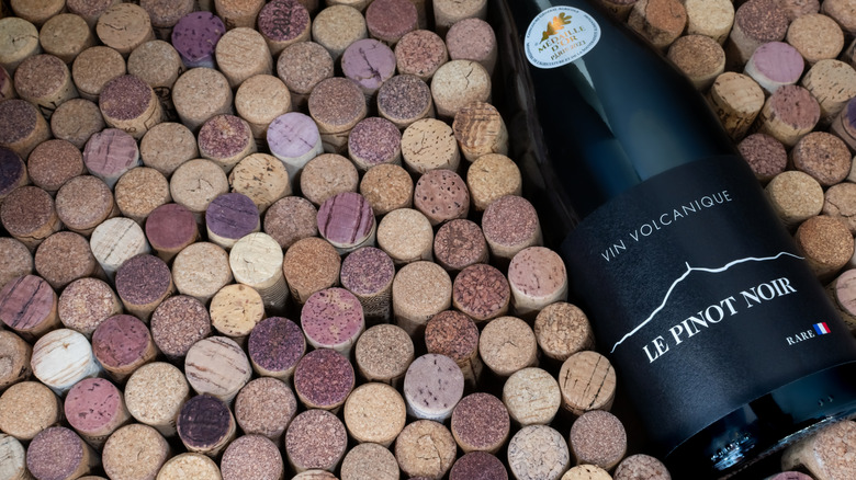 Bottle of pinot noir surrounded by corks