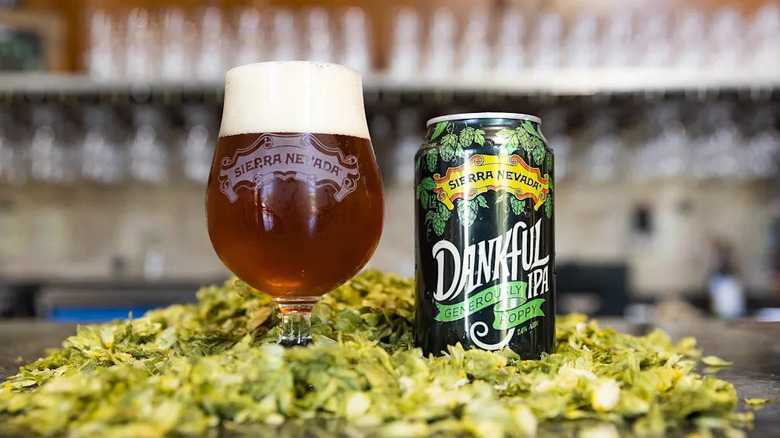 Sierra Nevada Dankful IPA in can and glass surrounded by hops