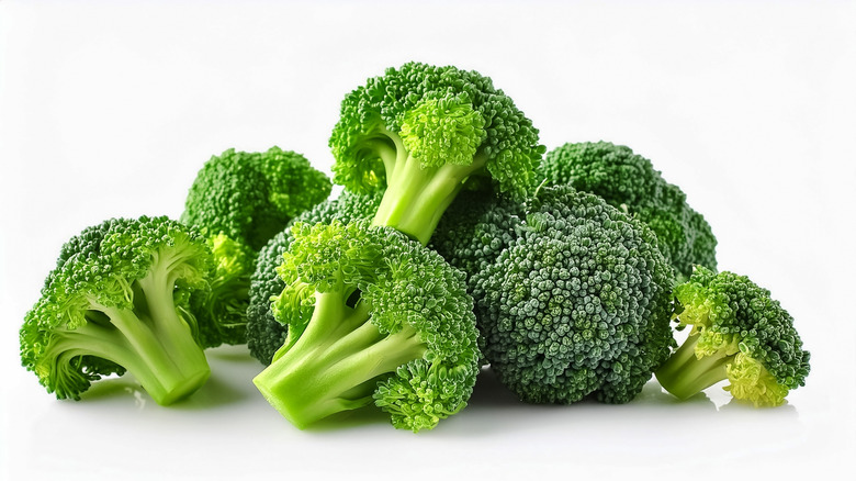 Broccoli florets on a white background