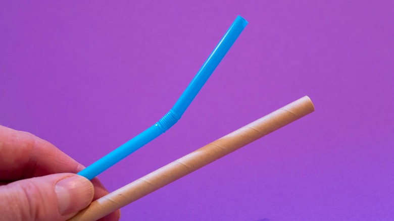 Person holding a paper straw and a plastic straw in front of purple background