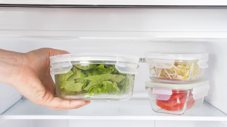 Lettuce in airtight container stored in the fridge