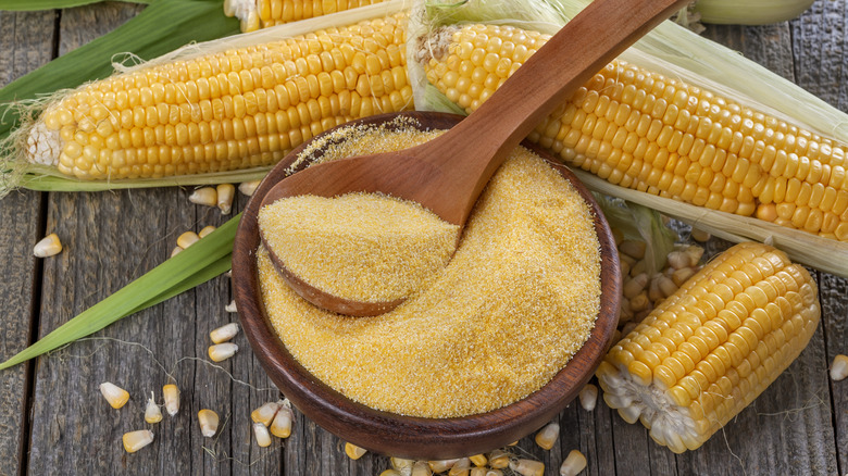 Wooden spoon in bowl of cornmeal with ears of corn