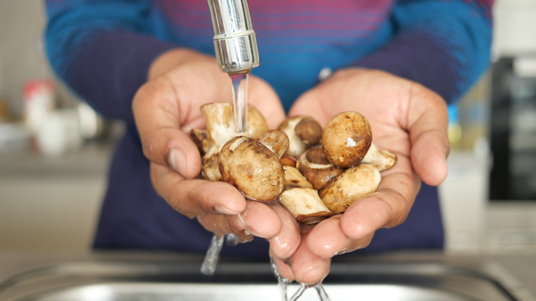 hand washing mushrooms under faucet