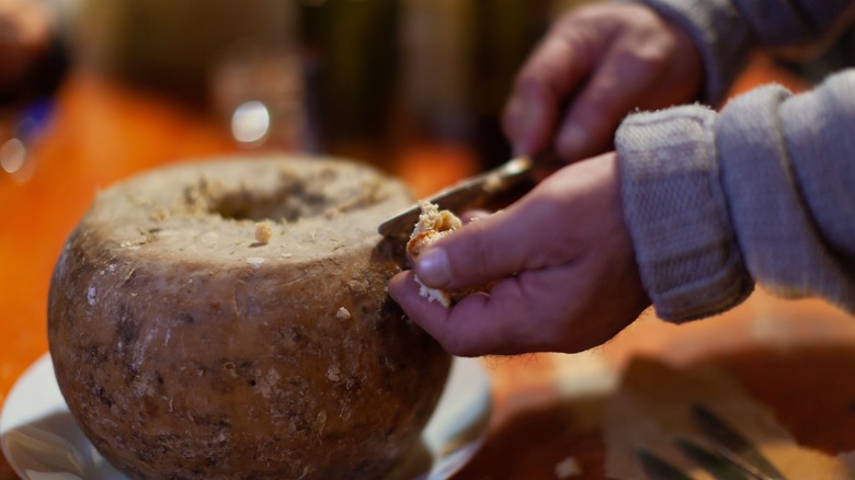 Sardinian casu marzu