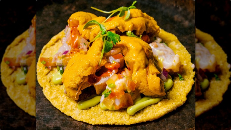 Fish taco dish served at Holbox