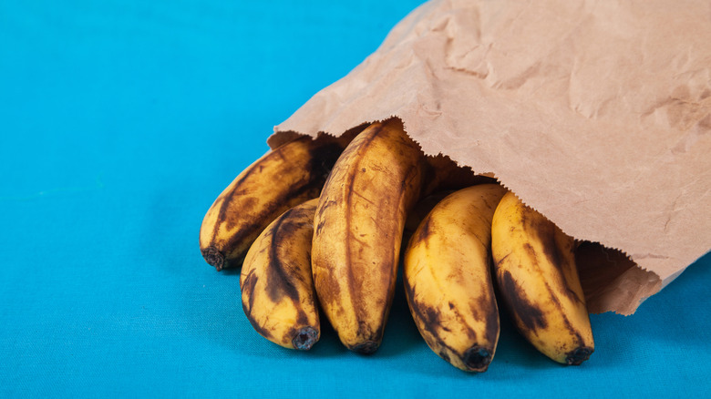 brown bananas in a brown paper bag against a blue background