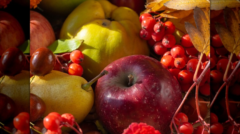 Fall fruits