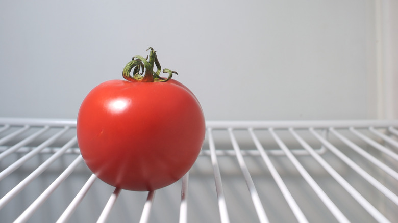 lone tomato in empty fridge